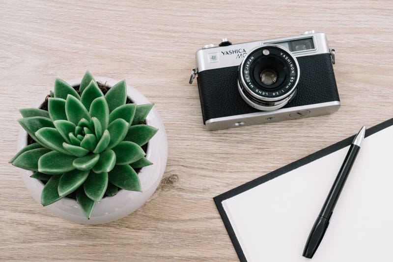 Un appareil photo vintage à côté d'une plante verte et d'un carnet sur une table en bois clair.